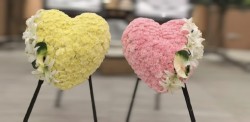 心形花牌H050
