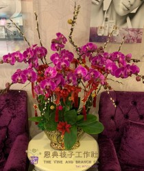 雅緻蘭花-V15