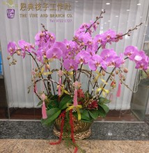 圖片 1