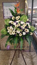 圖片 1