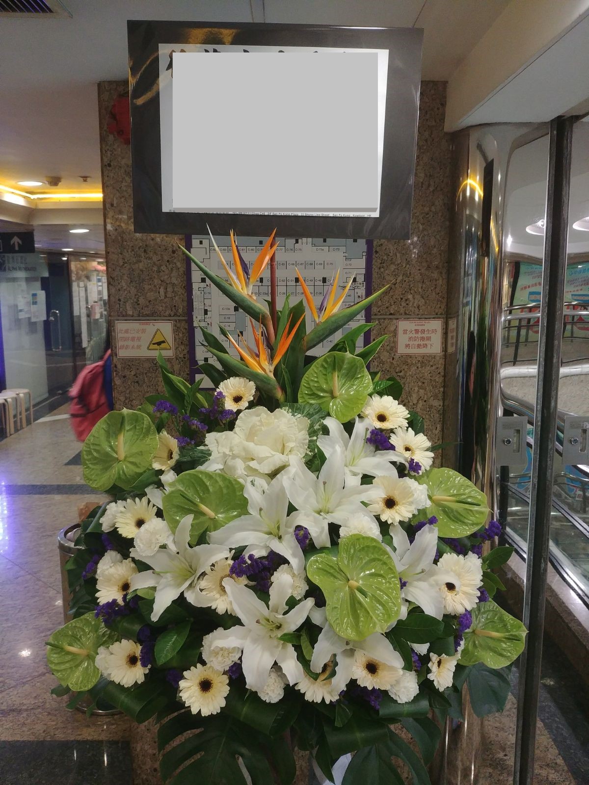 a003aa02.jpg